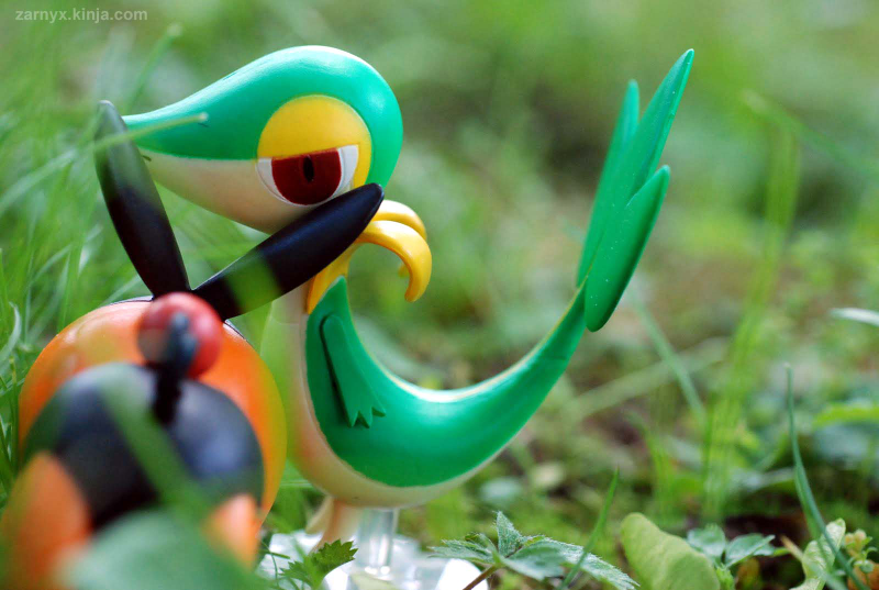Illustration for article titled Pokémon (OH) Snap!: Hiding in the Tall Grass...(Part I)